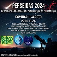 Perseidas en Ibiza