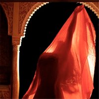 Comida Espectaculo Danza del Vientre