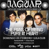 The Pains Of Being Pure At Heart