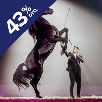 European Top Equestrian Show - Miron Bococi