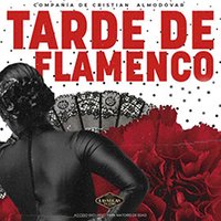 Tarde de Flamenco