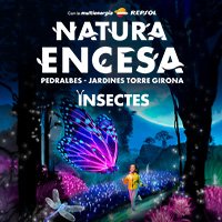 Natura Encesa - Insectes