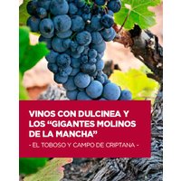Vinos con Dulcinea