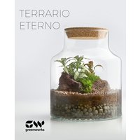 Crea tu propio Terrario Eterno
