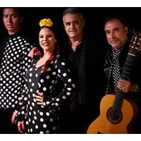 Pura Esencia Flamenco