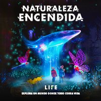 Naturaleza Encendida LIFE Premium
