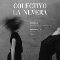 Grietas, Pulso, Las cáscaras