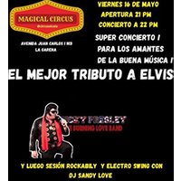 Tributo a Elvis