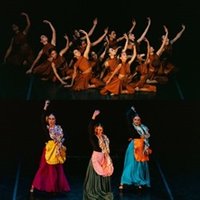 Una tarde en danza