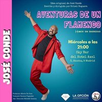 Aventuras de un flamenco - José Conde