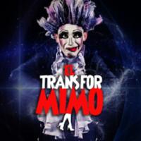 El Transformimo