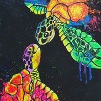 Tortugas Flúor