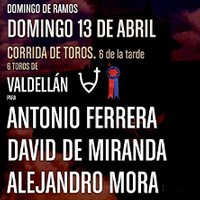 CORRIDA DE TOROS 13 ABRIL 2025