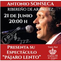 Antonio Sonseca. Pájaro lento