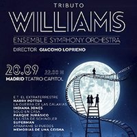 Tributo Williams Sinfónico