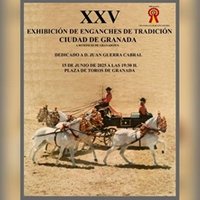 XXV Exhibición de enganches de tradición