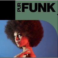 Pur Funk: Gigi McFarlane band