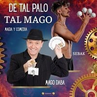 De tal palo tal mago