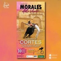 Concurso de cortes