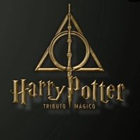 Harry Potter, Tributo mágico
