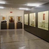 Museo Forense - Visita guiada