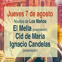 NOVILLADA 7 AGOSTO 2025