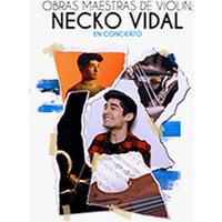 Necko Vidal - En concierto