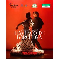 Espectáculo de Flamenco