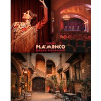 Espectáculo Flamenco en el Palau Dalmases