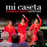 Mi Caseta Flamenco Show