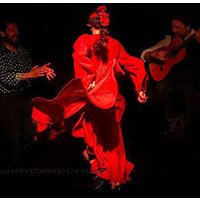 Flamenco La Exclusiva