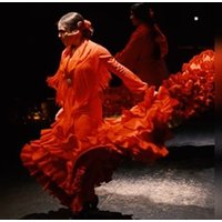 Flamenco Barcelona City Hall