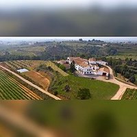 Desayuno, visita a la bodega y cata de vinos
