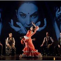 Clases de flamenco - Sevilla