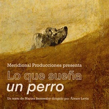 Lo que sueña un perro