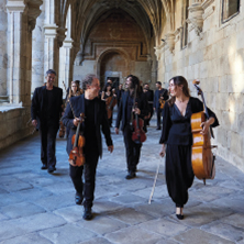 Orquesta de Cámara Galega