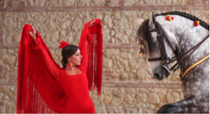 Imagen de Pasión y Duende Andaluz - Otros en Caballerizas Reales