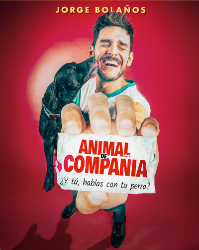 Animal de Compañía - Jorge Bolaños - Valladolid