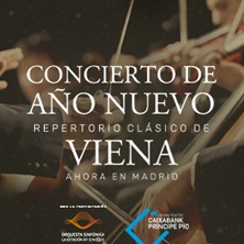 Concierto de año nuevo - Madrid
