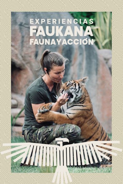 Visitas Faukana - Jornadas Salvajes