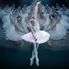 Cartel de Lago de los Cisnes - International Ballet Company - Danza en Teatro Carrión