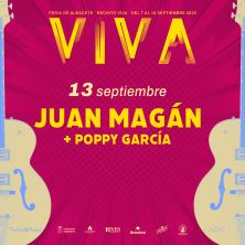 Juan Magán - Albacete - Obra de Festivales de música en Recinto Viva