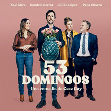 Cartel de 53 domingos - Valladolid - Comedia en Teatro Carrión