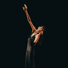 Cartel de Delicada caída - Provisional Danza / Carmen Werner - Danza en Centro Comarcal de Humanidades Sierra Norte