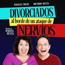 Cartel de Divorciados al borde de un ataque de nervios - Comedia en Teatro de las Aguas