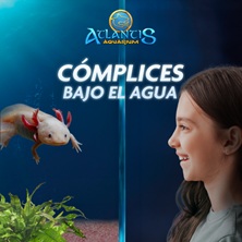 Atlantis Aquarium - Feria o Exhibición