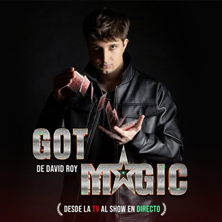Cartel de Got Magic de David Roy - Madrid - Magia en mk2 Palacio de Hielo - Sala 8