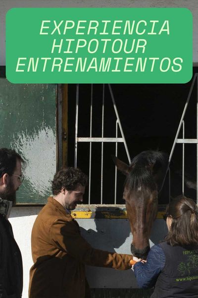 Cartel de Experiencia Hipotour Entrenamientos - Deporte Otros en Hipódromo de la Zarzuela