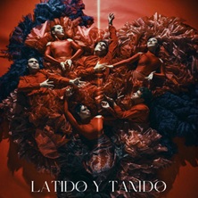 Cartel de Latido y tañido - Danza en CASA DE LAS ARTES