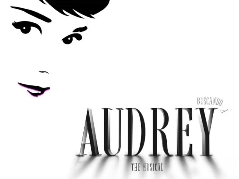 Buscando a Audrey, The Musical